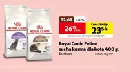 Karma dla kota Royal Canin