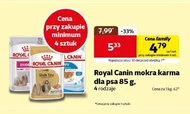 Karma dla psa Royal Canin