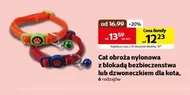 Obroża dla kota Family