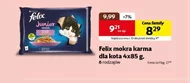 Mokra karma dla kota Felix