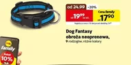 Obroża Dog Fantasy