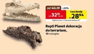 Прикраси для тераріуму Repti planet