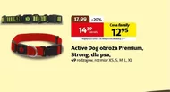 Obroża dla psa Active dog