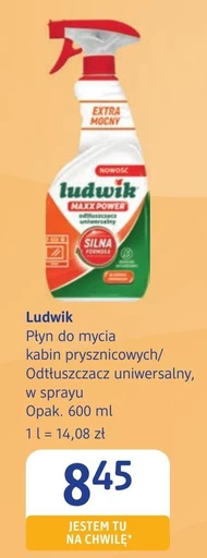 Płyn do mycia kabin prysznicowych Ludwik