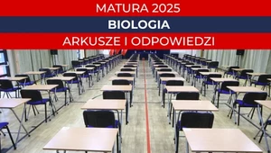 Matura 2025. Biologia, poziom rozszerzony. Arkusz CKE i odpowiedzi