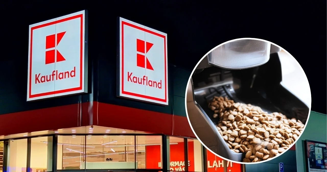 Ten hit wśród właścicieli psów i kotów jest teraz w promocji w Kauflandzie! Sprawdź! Ten hit wśród właścicieli psów i kotów jest teraz w promocji w Kauflandzie! Sprawdź!