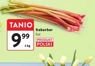 Ревінь Polski