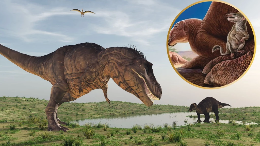 Ravjaa ishiii był ssakiem żyjącym obok dinozaurów Ravjaa ishiii był ssakiem żyjącym obok dinozaurów