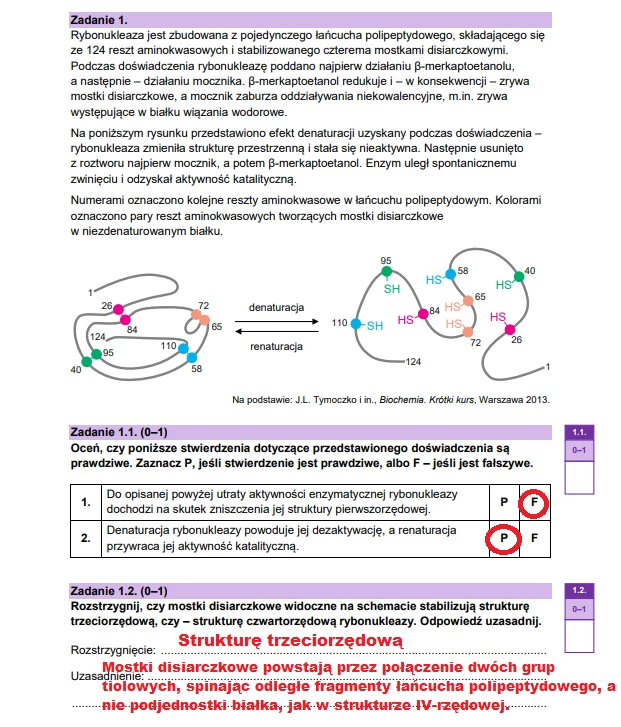 Matura 2025. Biologia, poziom rozszerzony. Arkusz CKE - strona 3