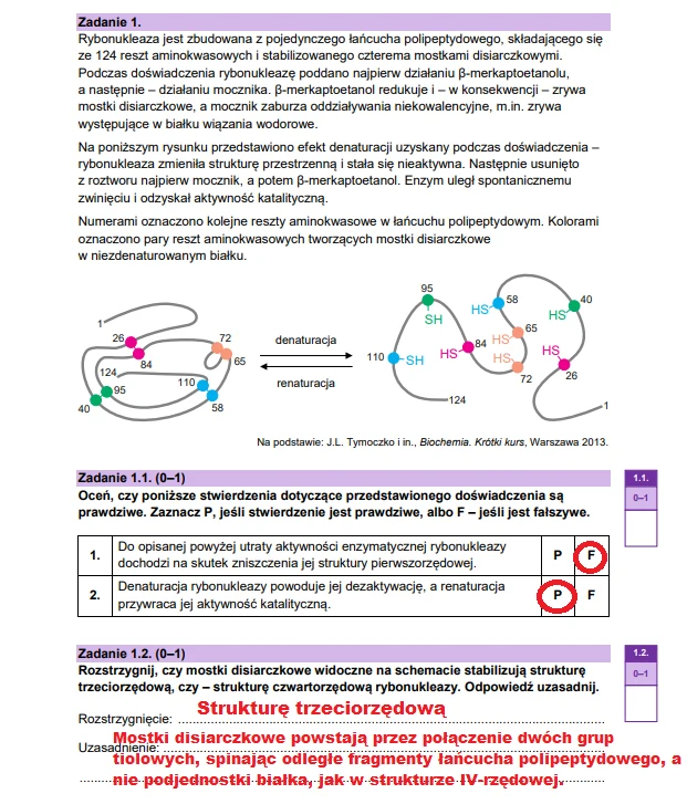 Matura 2025. Biologia, poziom rozszerzony. Arkusz CKE - strona 3