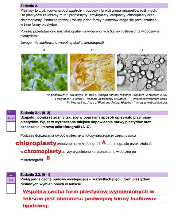Matura 2025. Biologia, poziom rozszerzony. Arkusz CKE - strona 4