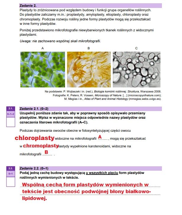 Matura 2025. Biologia, poziom rozszerzony. Arkusz CKE - strona 4