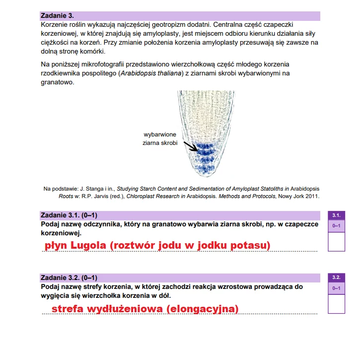 Matura 2025. Biologia, poziom rozszerzony. Arkusz CKE - strona 5