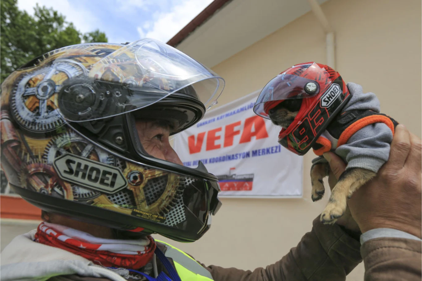 Przepisy nie regulują kwestii jazdy psa lub kota w kasku. To jedynie wizualny dodatek. Człowiek w ozdobnym kasku motocyklowym trzyma psa, również w kasku o odpowiednim rozmiarze, na tle widocznego transparentu na budynku.