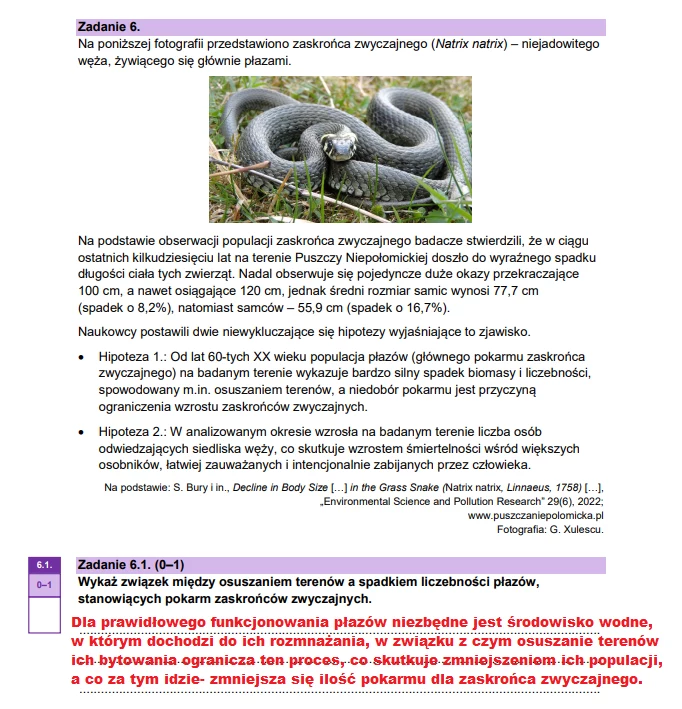 Matura 2025. Biologia, poziom rozszerzony. Arkusz CKE - strona 10
