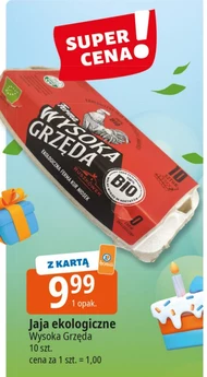 Jaja Wysoka Grzęda