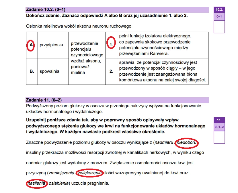 Matura 2025. Biologia, poziom rozszerzony. Arkusz CKE - strona 17