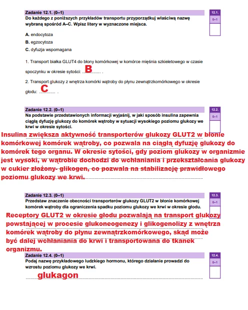 Matura 2025. Biologia, poziom rozszerzony. Arkusz CKE - strona 19