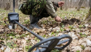 Niecodzienny skarb odkryty w Polsce. Ktoś go zakopał w lesie
