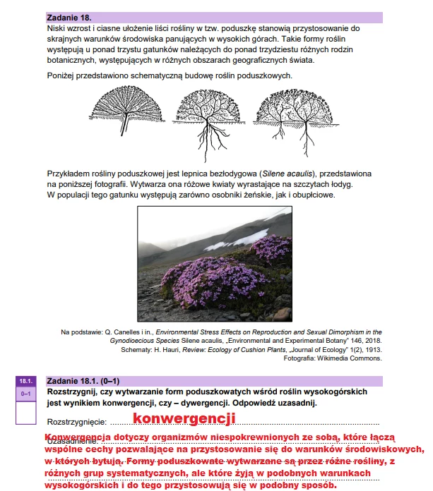 Matura 2025. Biologia, poziom rozszerzony. Arkusz CKE - strona 28