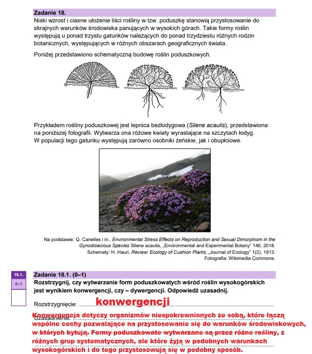Matura 2025. Biologia, poziom rozszerzony. Arkusz CKE - strona 28