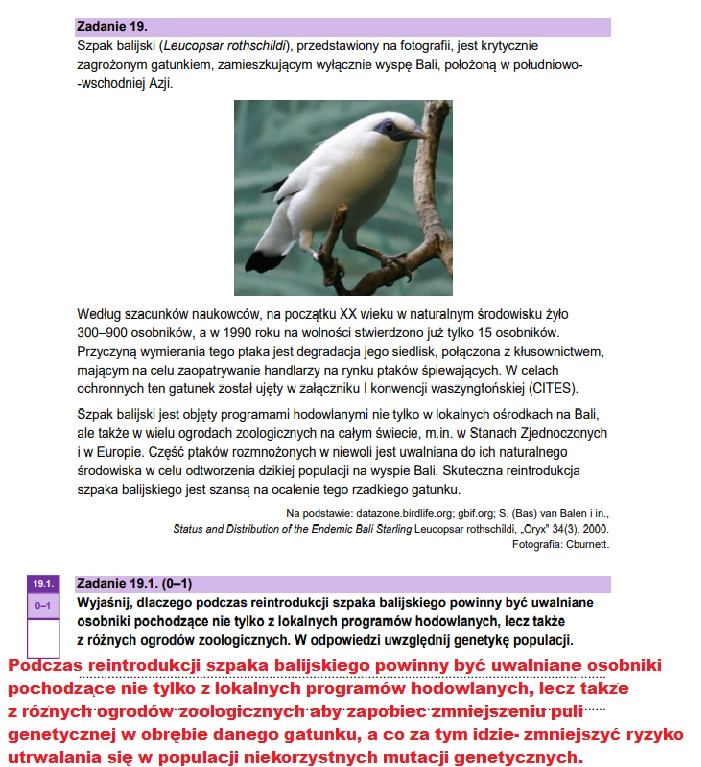Matura 2025. Biologia, poziom rozszerzony. Arkusz CKE - strona 30