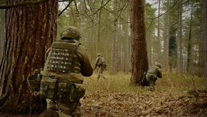 Ukraina gotowa na zawieszenie broni. Podano datę