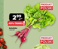 Botwinka Polski