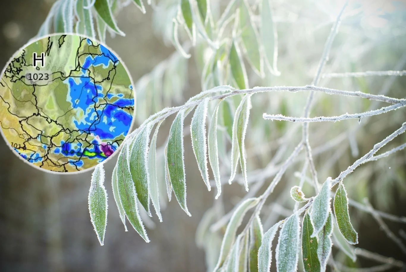 Poranne przymrozki pozostaną z nami jeszcze przez kilka dni Zamrożone liście pokryte szronem na pierwszym planie, z wstawioną mapą meteorologiczną przedstawiającą warunki pogodowe i rozkład ciśnienia atmosferycznego.