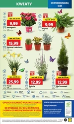 З понеділка ви заощаджуєте більше - Lidl