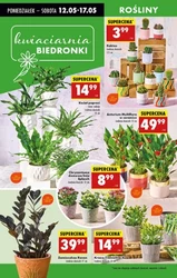 Od poniedziałku w Biedronce