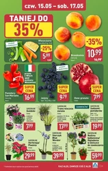 Tydzień mega oszczędności - Aldi