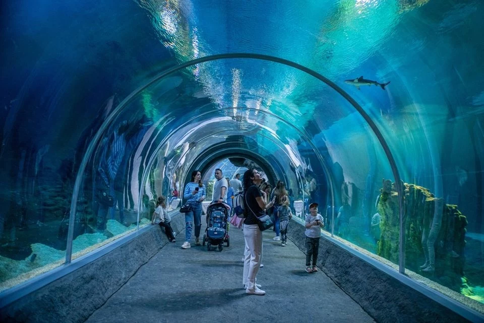 Wizyta w Orientarium ZOO Łódź to inwestycja w rozwój emocjonalny i intelektualny, która przynosi korzyści na wielu poziomach / ORIENTARIUM ZOO ŁÓDŹ, fot. Paweł Łacheta Wizyta w Orientarium ZOO Łódź to inwestycja w rozwój emocjonalny i intelektualny, która przynosi korzyści na wielu poziomach / ORIENTARIUM ZOO ŁÓDŹ, fot. Paweł Łacheta