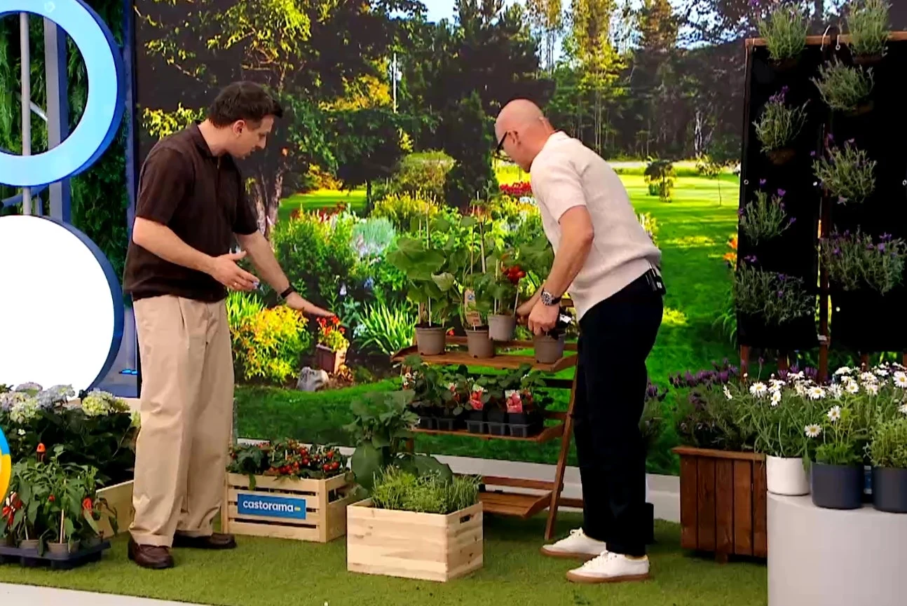 Warzywa i zioła na balkonie - zdrowo i praktycznie!