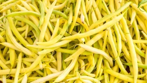 Fasolka szparagowa przeciwdziała stanom zapalnym, ma działanie antyoksydacyjne, wspiera procesy myślowe i trawienie