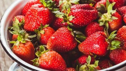 Jak zachować świeżość truskawek na dużej? Unikaj tego popularnego błędu. 