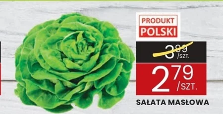 Sałata masłowa Polski