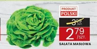 Sałata masłowa Polski
