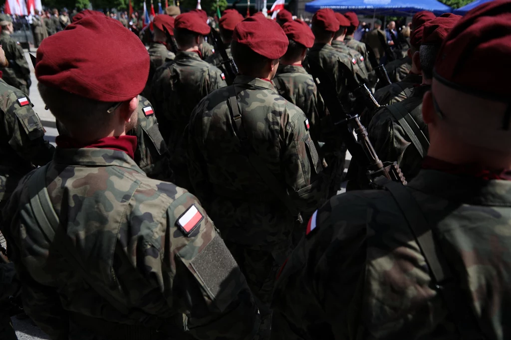 Polacy zabrali głos. Wypowiedzieli się, kto powinien bronić naszego kraju