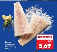 Dorsz