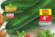 Ogórek Wielkopolski