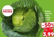 Kapusta młoda