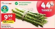 Szparagi zielone