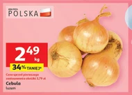 Цибуля