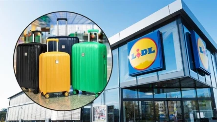 Walizki Wittchen w Lidlu!