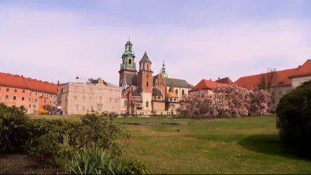 Czysta Polska - odcinek 206