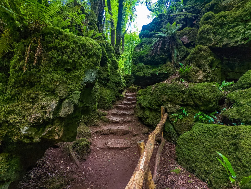 Puzzlewood zachwyca tajemniczymi ścieżkami Puzzlewood zachwyca tajemniczymi ścieżkami
