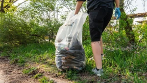 Zaskakujące znalezisko podczas sprzątania. W śmieciach były drogie perfumy