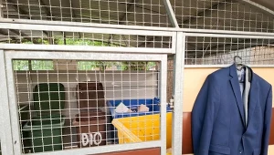 Będzie jeszcze jeden pojemnik do segregacji śmieci. Co do niego wrzucać?