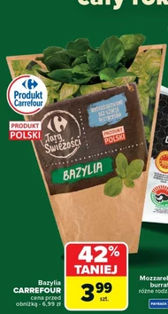 Bazylia Carrefour